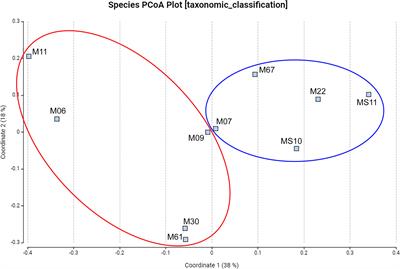Trichuris trichiura infection is associated with changes in gut microbiome composition and function among women of reproductive age from Pemba, Tanzania